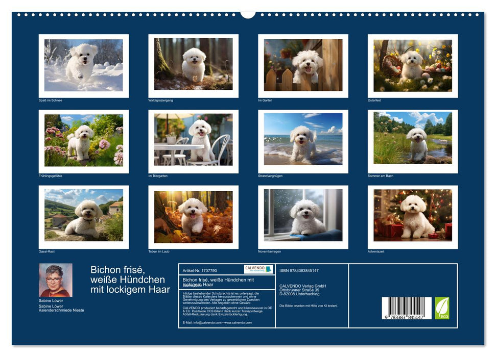 Bichon frisé, weiße Hündchen mit lockigem Haar (CALVENDO Premium Wandkalender 2025)