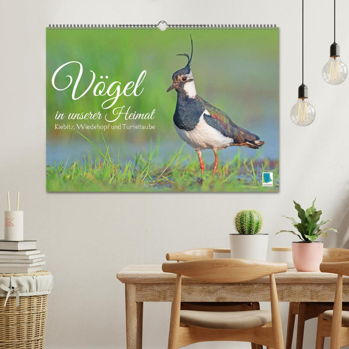 Vögel in unserer Heimat: Kiebitz, Wiedehopf und Turteltaube (CALVENDO Wandkalender 2025)