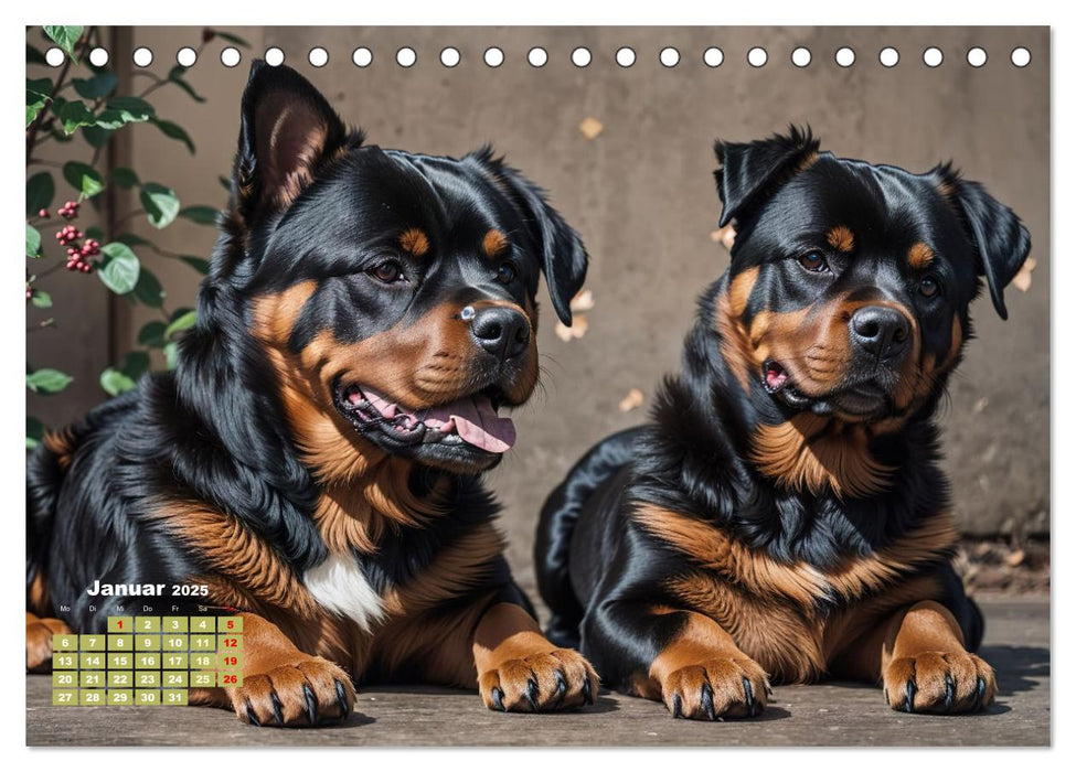 Majestätische Rottweiler: Ein Jahr voller Kraft und Loyalität (CALVENDO Wandkalender 2025)