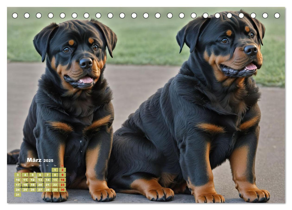 Majestätische Rottweiler: Ein Jahr voller Kraft und Loyalität (CALVENDO Wandkalender 2025)