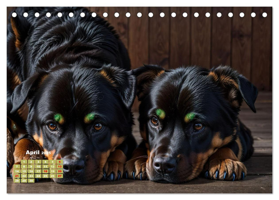 Majestätische Rottweiler: Ein Jahr voller Kraft und Loyalität (CALVENDO Wandkalender 2025)