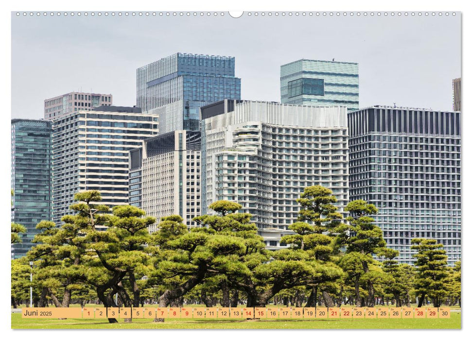 Impressionen aus Tokio, der Megastadt im Land der aufgehenden Sonne (CALVENDO Wandkalender 2025)