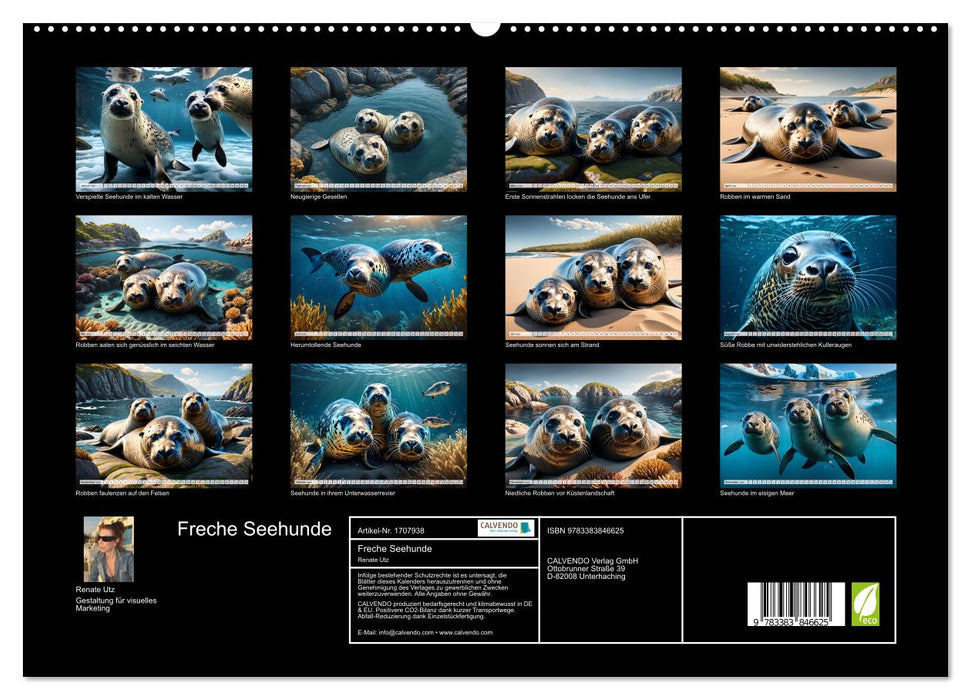 Freche Seehunde (CALVENDO Premium Wandkalender 2025)