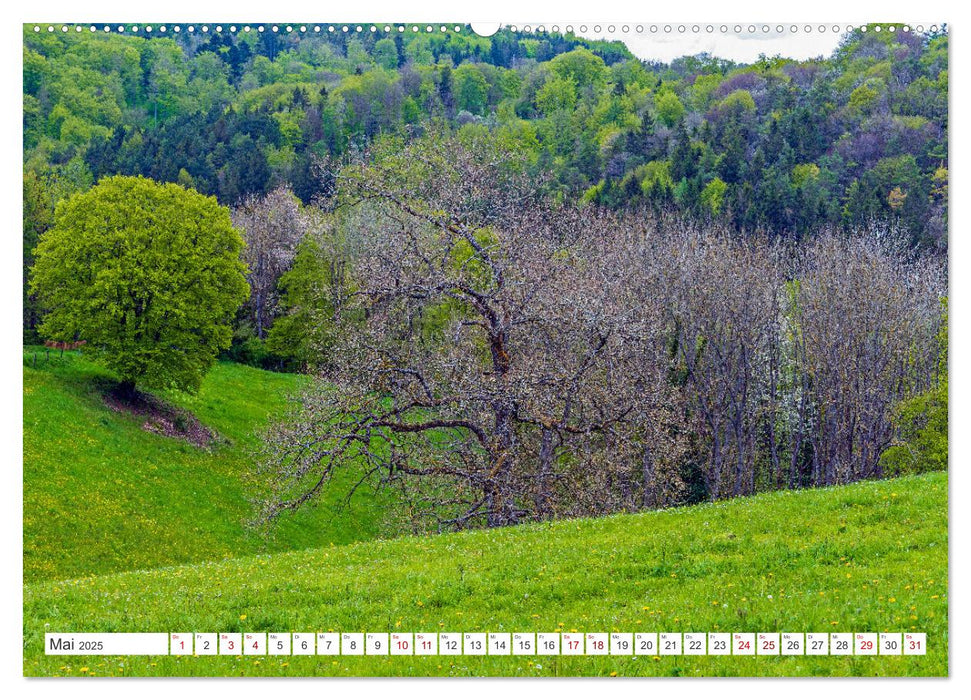 Naturlandschaften zwischen Himmel und Erde (CALVENDO Wandkalender 2025)