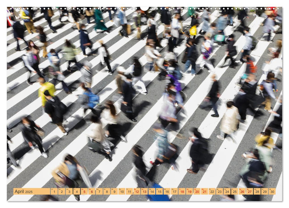 Impressionen aus Tokio, der Megastadt im Land der aufgehenden Sonne (CALVENDO Premium Wandkalender 2025)