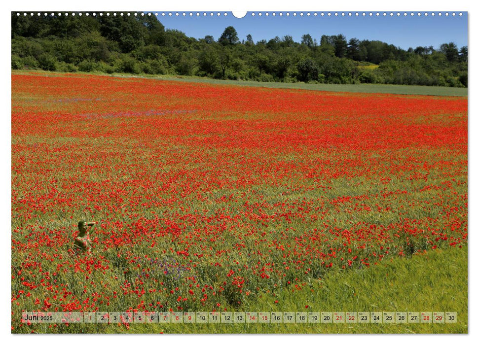 Angepasste Körper (CALVENDO Premium Wandkalender 2025)