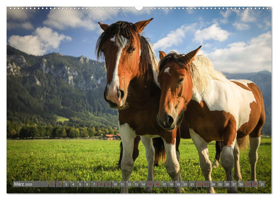 Ostallgäu - Zwischen Aggenstein und Forggensee (CALVENDO Premium Wandkalender 2025)