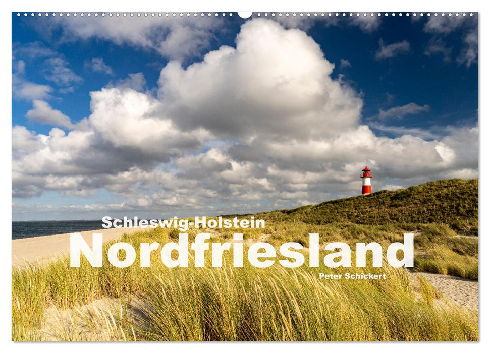 Schleswig-Holstein - Nordfriesland (CALVENDO Wandkalender 2025)