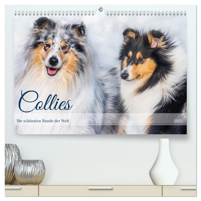 Collies - die schönsten Hunde der Welt (CALVENDO Premium Wandkalender 2025)