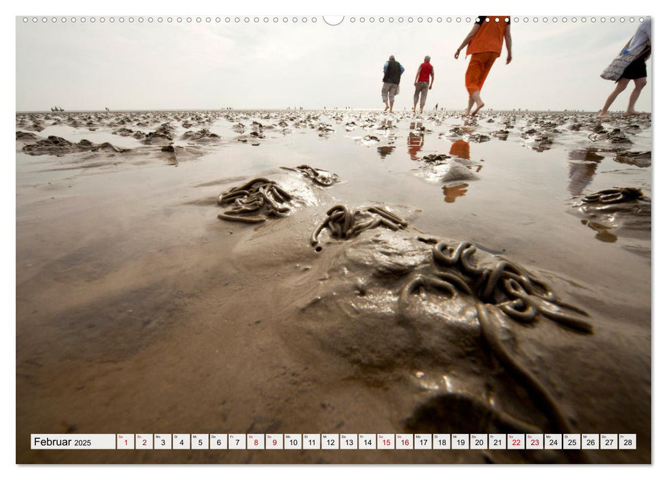 Schleswig-Holstein - Nordfriesland (CALVENDO Premium Wandkalender 2025)