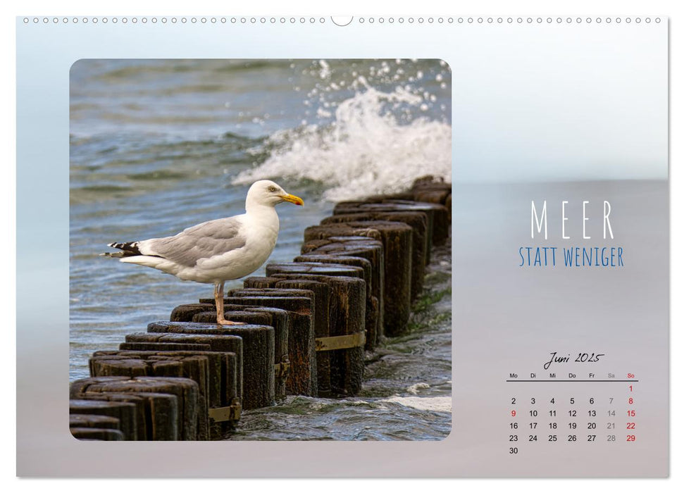 Mehr oder weniger Meer (CALVENDO Premium Wandkalender 2025)