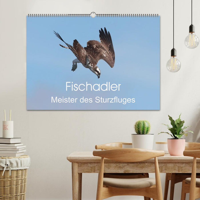 Fischadler - Meister des Sturzfluges (CALVENDO Wandkalender 2025)