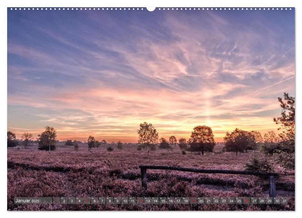 Die Lüneburger Heide - In voller Blüte (CALVENDO Premium Wandkalender 2025)