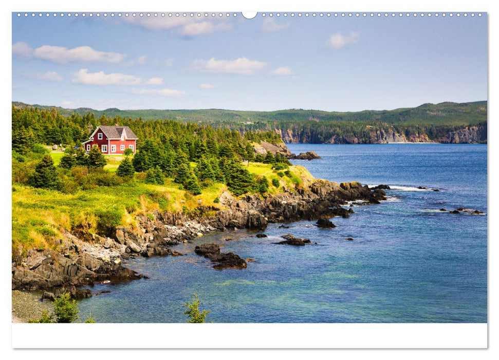 Neufundland - wilde Schönheit im Atlantik (CALVENDO Wandkalender 2025)