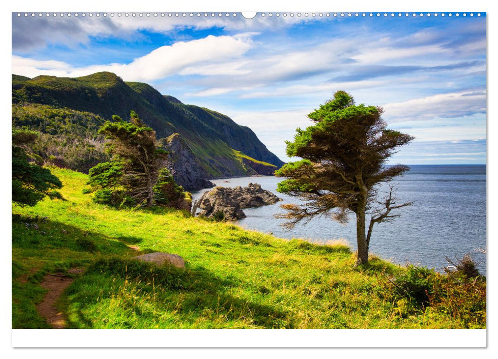 Neufundland - wilde Schönheit im Atlantik (CALVENDO Wandkalender 2025)