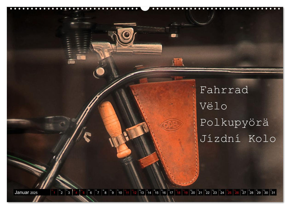 Weltfahrrad (CALVENDO Premium Wandkalender 2025)