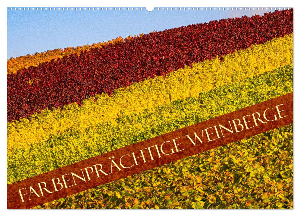 Farbenprächtige Weinberge (CALVENDO Wandkalender 2025)