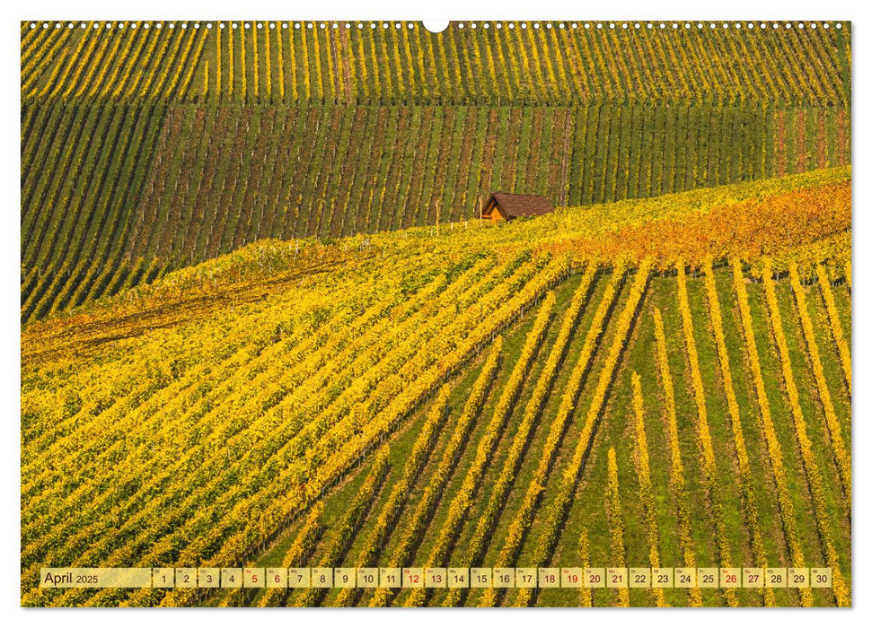 Farbenprächtige Weinberge (CALVENDO Wandkalender 2025)