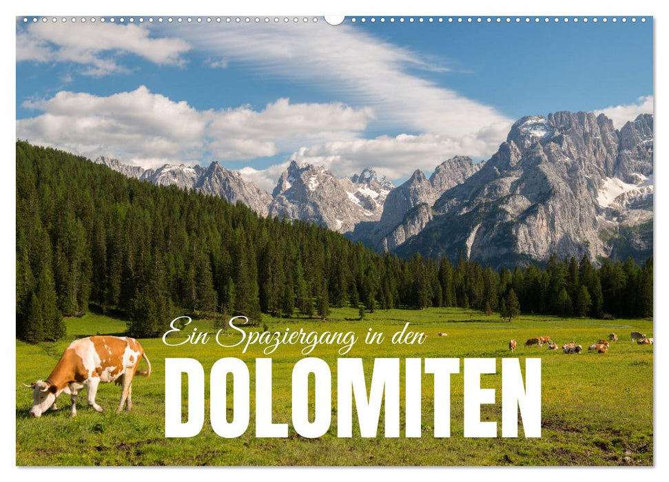 Ein Spaziergang in den Dolomiten (CALVENDO Wandkalender 2025)