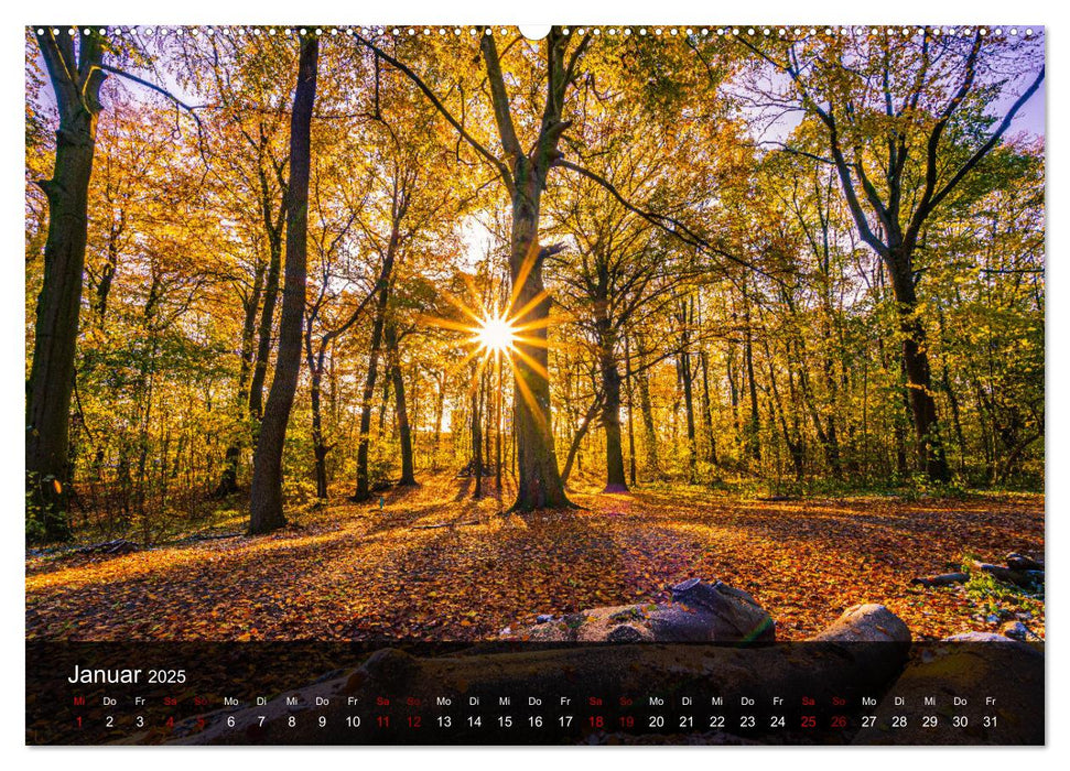 Wundervolle Naturlandschaften (CALVENDO Wandkalender 2025)