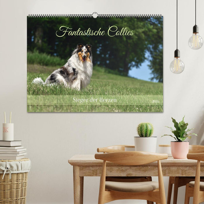 Fantastische Collies - Sieger der Herzen (CALVENDO Wandkalender 2025)