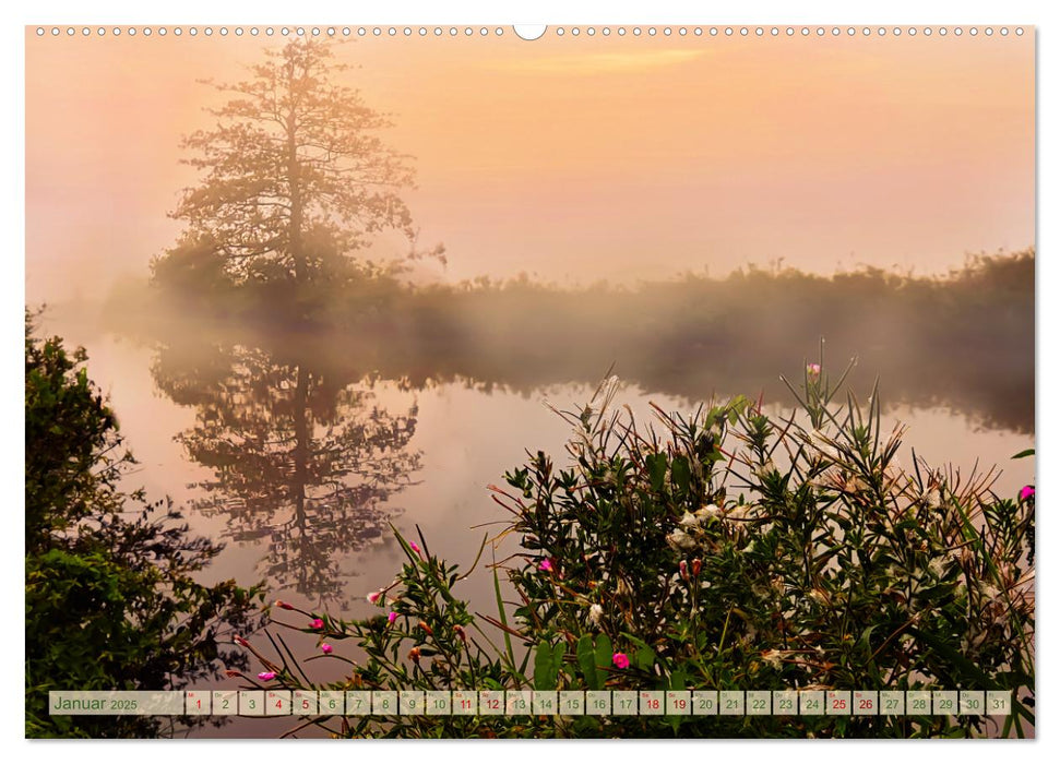 Morgenglühen & Nebelschimmer (CALVENDO Premium Wandkalender 2025)