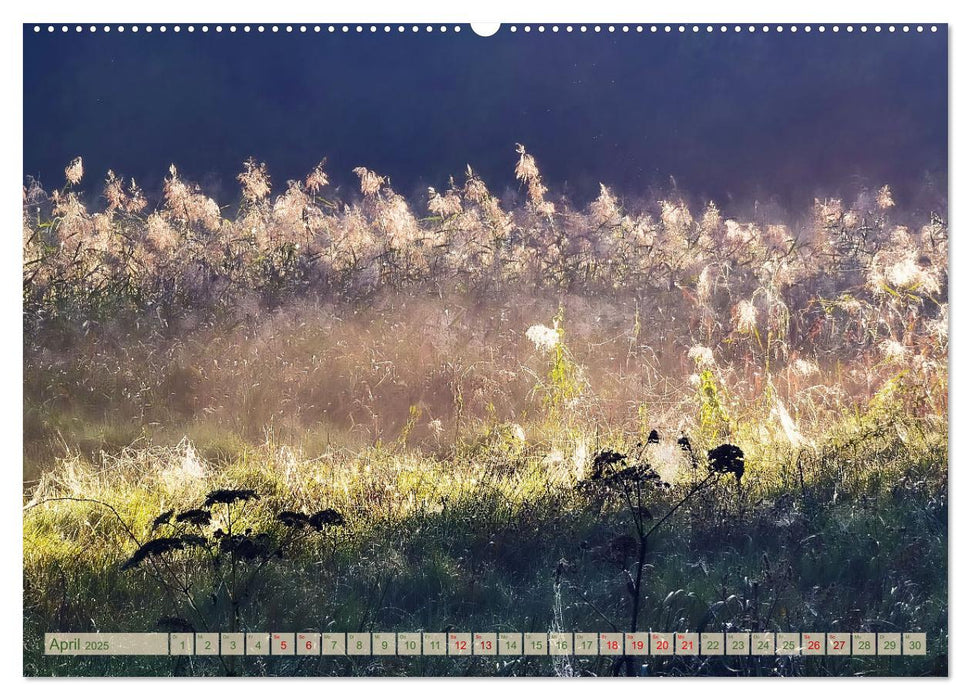 Morgenglühen & Nebelschimmer (CALVENDO Premium Wandkalender 2025)