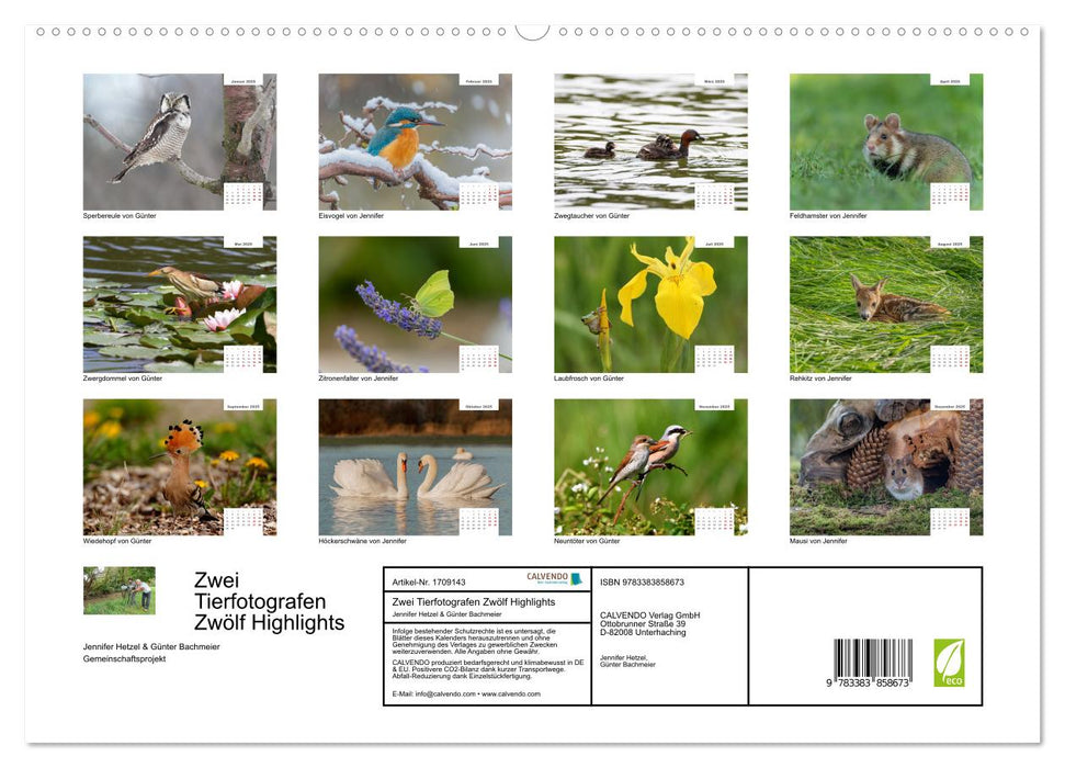 Zwei Tierfotografen Zwölf Highlights (CALVENDO Premium Wandkalender 2025)