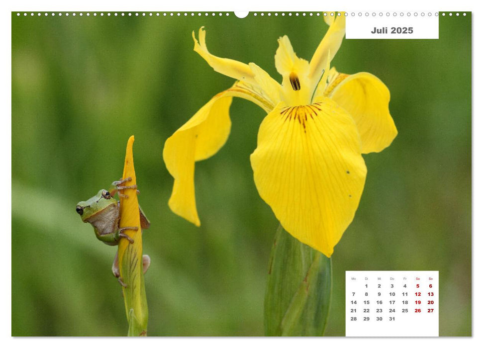 Zwei Tierfotografen Zwölf Highlights (CALVENDO Premium Wandkalender 2025)