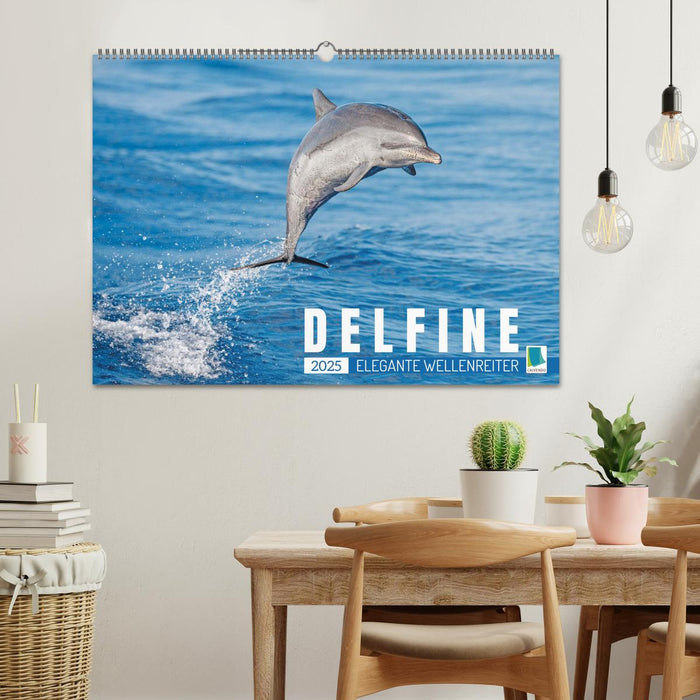 Delfine: Elegante Wellenreiter (CALVENDO Wandkalender 2025)