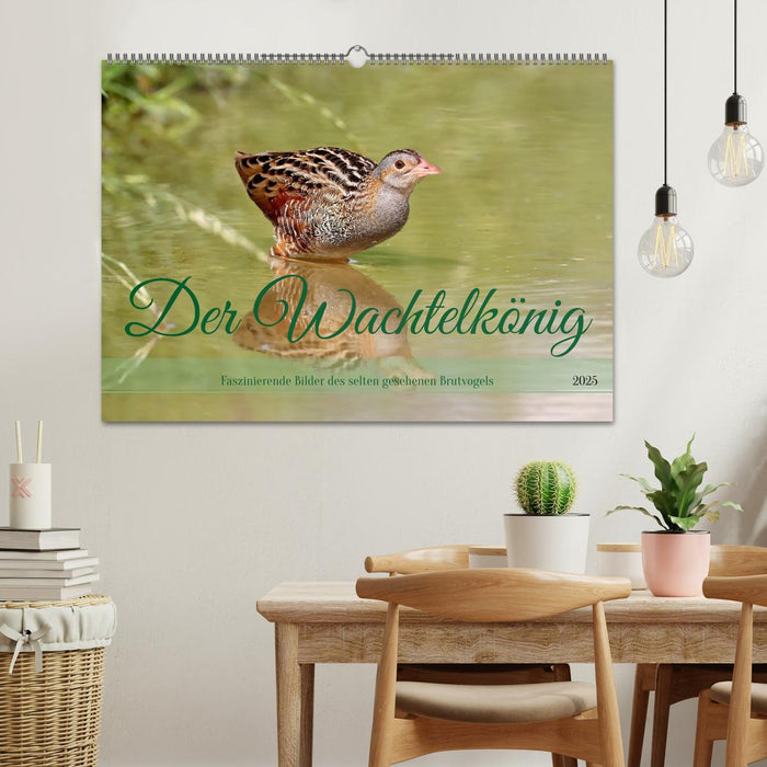 Der Wachtelkönig (CALVENDO Wandkalender 2025)