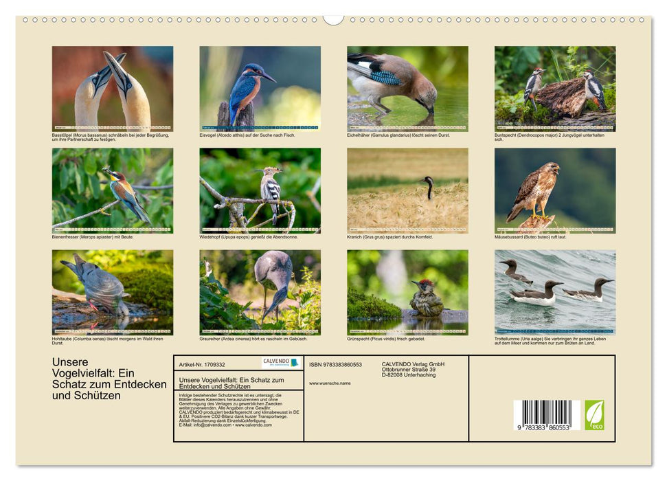 Unsere Vogelvielfalt: Ein Schatz zum Entdecken und Schützen (CALVENDO Premium Wandkalender 2025)