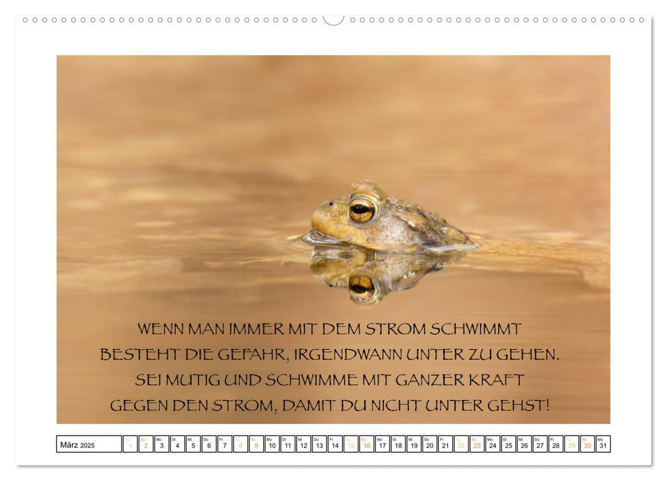 Spruch verliebt (CALVENDO Wandkalender 2025)