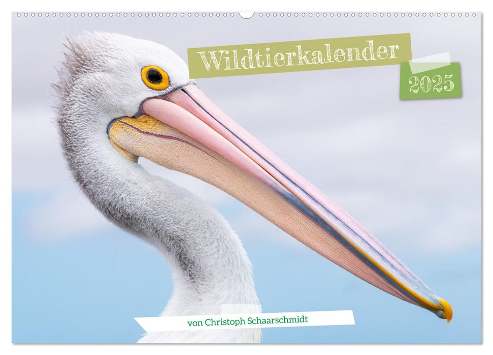 Wildtierkalender (CALVENDO Wandkalender 2025)