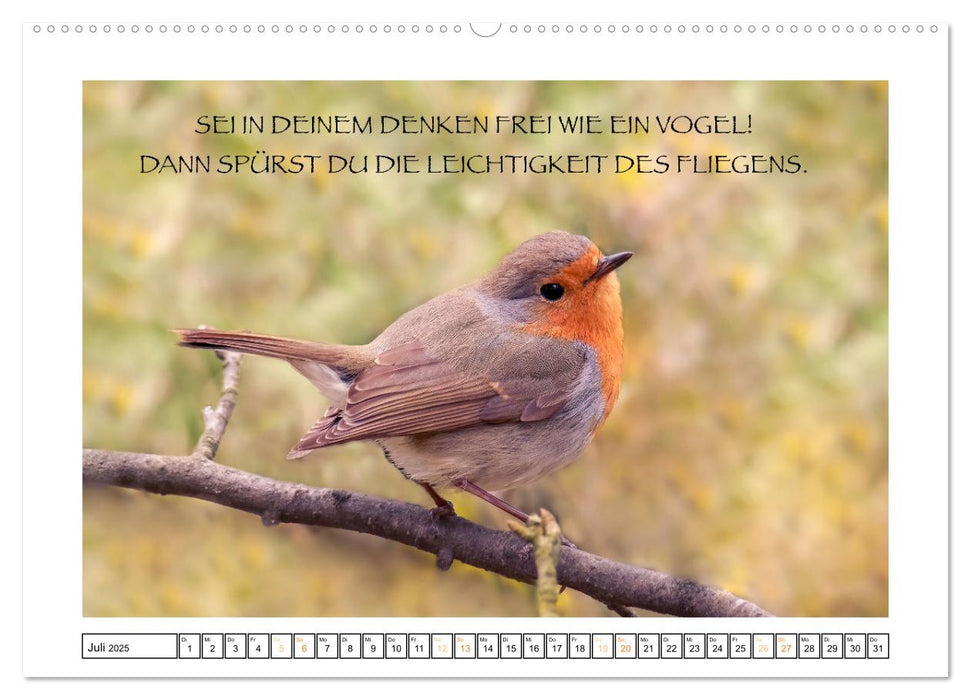 Spruch verliebt (CALVENDO Premium Wandkalender 2025)