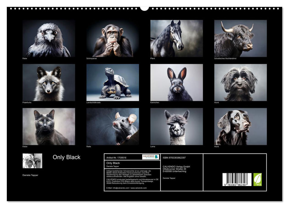 Only Black (CALVENDO Premium Wandkalender 2025)