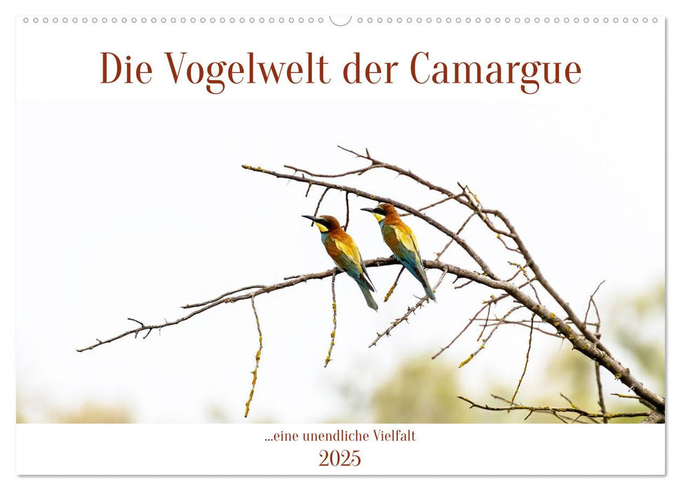 Die Vogelwelt der Camargue (CALVENDO Wandkalender 2025)