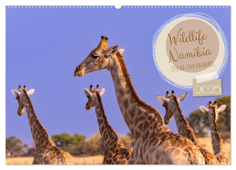 Wildlife Namibia - Etosha und Kalahari (CALVENDO Wandkalender 2025)