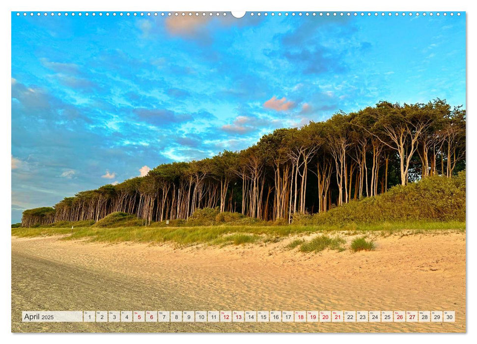 Fischland zwischen Ostsee und Bodden (CALVENDO Wandkalender 2025)