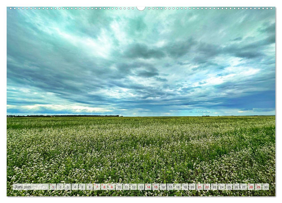 Fischland zwischen Ostsee und Bodden (CALVENDO Wandkalender 2025)