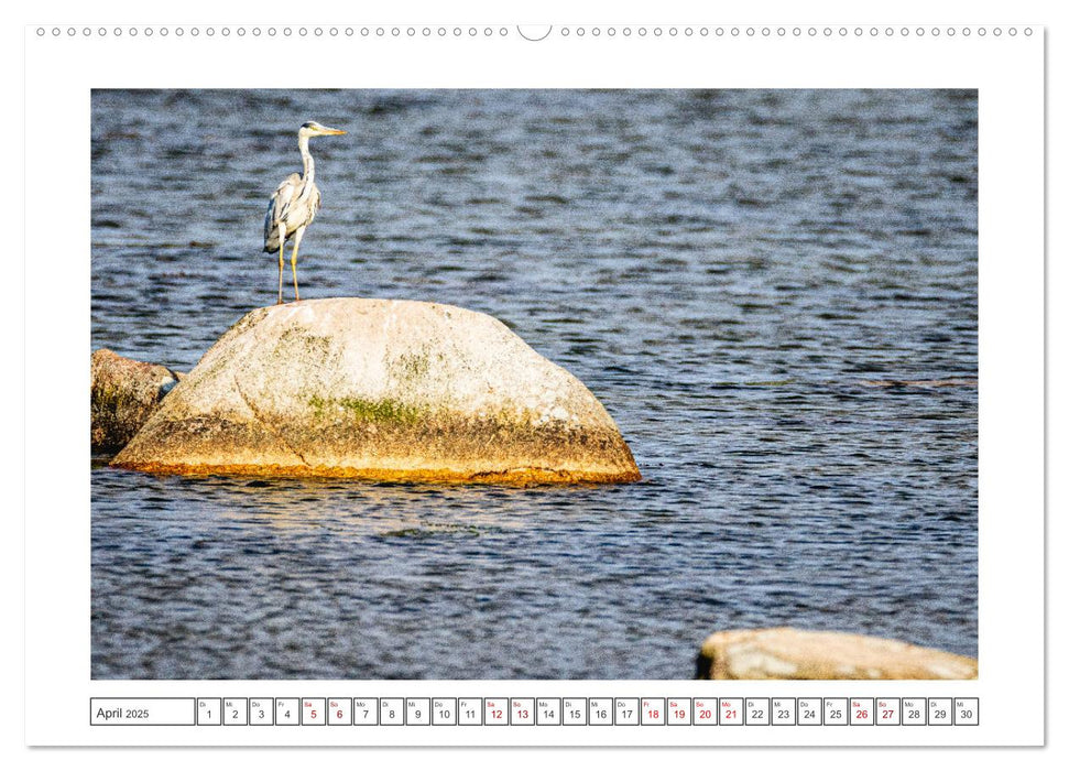 Lolland - Harmonie von Mensch und Natur (CALVENDO Wandkalender 2025)