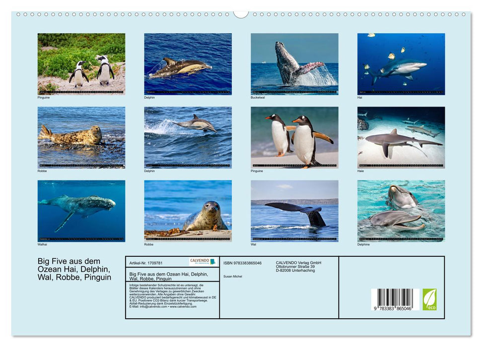 Big Five aus dem Ozean Hai, Delphin, Wal, Robbe, Pinguin (CALVENDO Premium Wandkalender 2025)