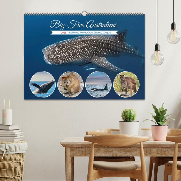 Big Five Australiens Buckelwal, Walhai, Orca, Quokka,Känguru (CALVENDO Wandkalender 2025)