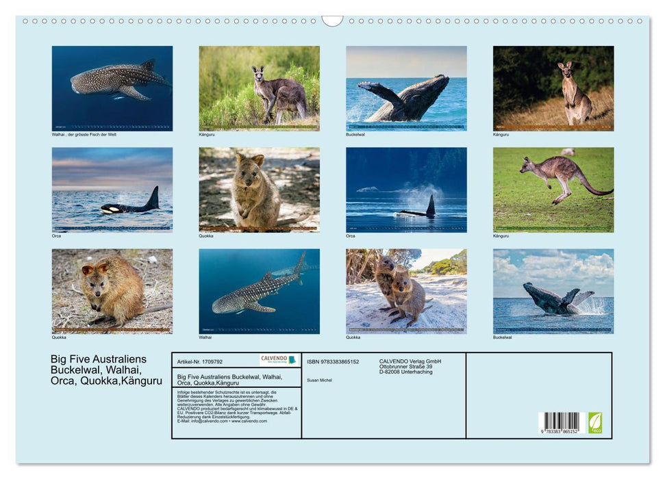 Big Five Australiens Buckelwal, Walhai, Orca, Quokka,Känguru (CALVENDO Wandkalender 2025)