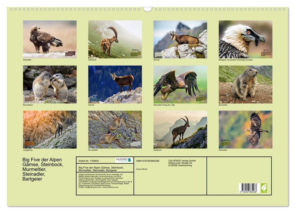 Big Five der Alpen Gämse, Steinbock, Murmeltier, Steinadler, Bartgeier (CALVENDO Wandkalender 2025)