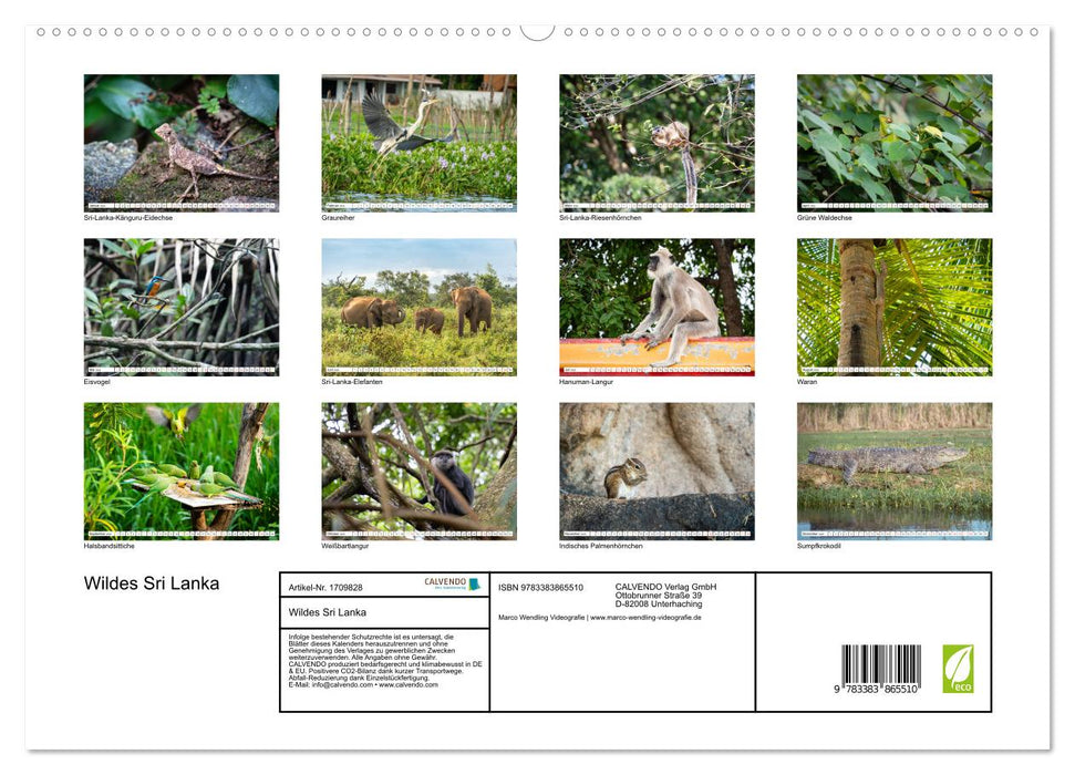 Wildes Sri Lanka (CALVENDO Premium Wandkalender 2025)