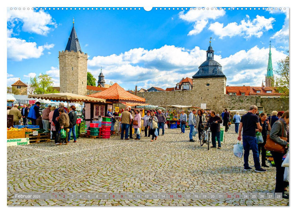 Ein Blick auf Mühlhausen in Thüringen (CALVENDO Premium Wandkalender 2025)