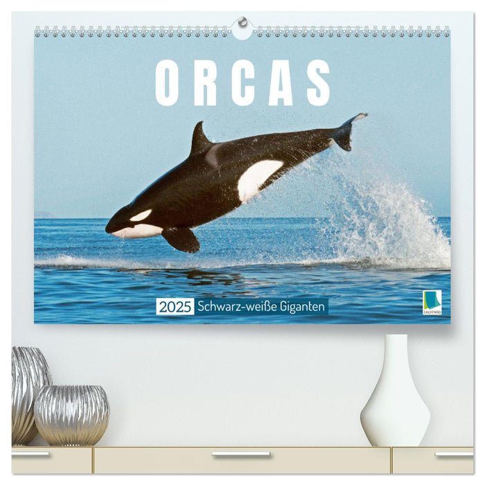 Orcas: Schwarz-weiße Giganten (CALVENDO Premium Wandkalender 2025)