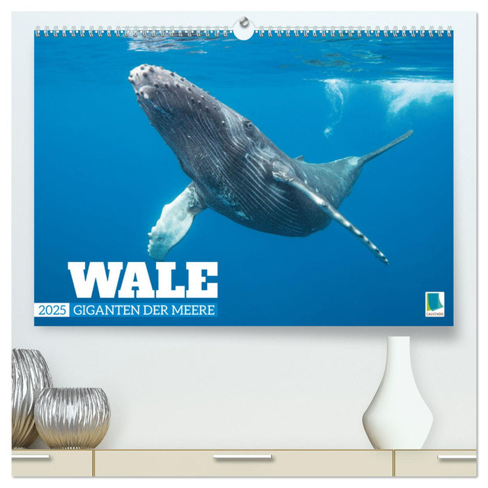 Wale: Giganten der Meere (CALVENDO Premium Wandkalender 2025)