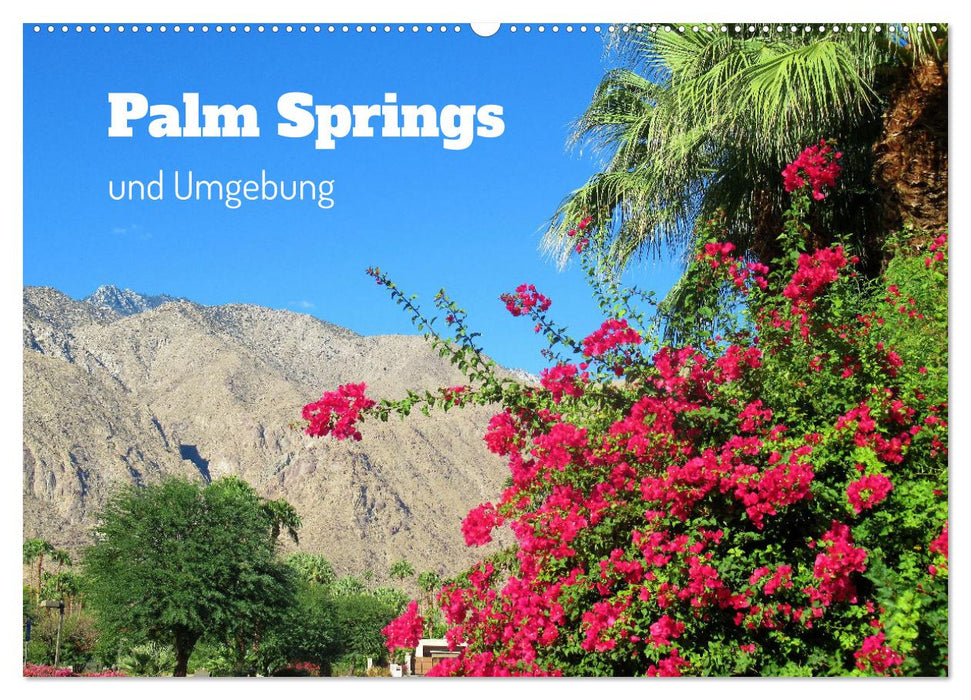 Palm Springs und Umgebung (CALVENDO Wandkalender 2025)